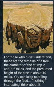 Stupid Bar Memes 4af3d896998367ad