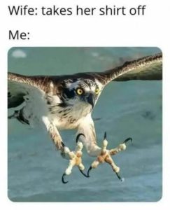 Stupid Bar Memes 535ba1c4f864d09d