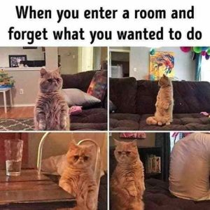 Stupid Bar Memes 566ddbe330c5db7e