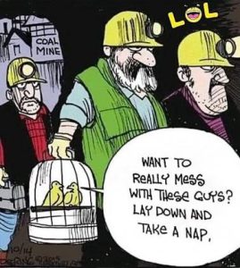 Stupid Bar Memes 594c67b89460adf4