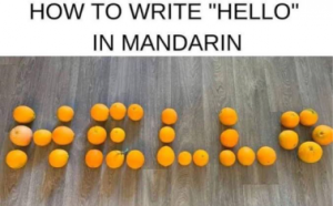 Stupid Bar Memes 63504d9dd2ef4636