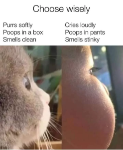Stupid Bar Memes 64fb32499dfd8