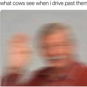Stupid Bar Memes 6505dfa431208