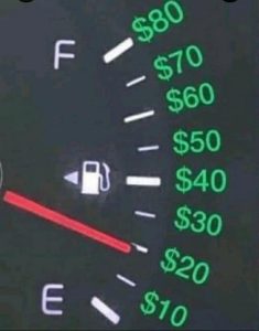 Stupid Bar Memes 65c6acb8cb7039ed