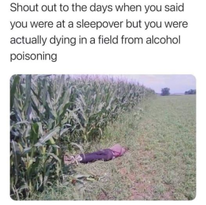 Stupid Bar Memes 66123ba9b315b71a