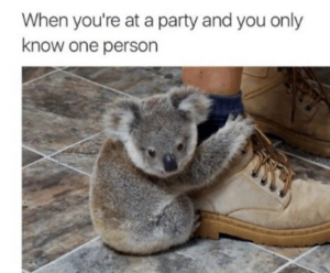 Stupid Bar Memes 6bfab7bbbe30e2f3