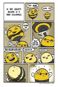 Stupid Bar Memes 6d09d4543fb0b5f1