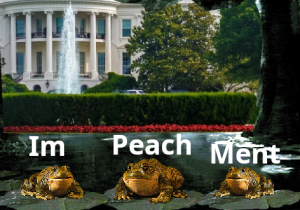 Stupid Bar Memes 6dc2c661546df806