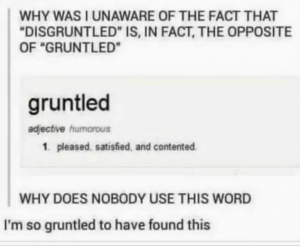 Stupid Bar Memes 76351fbc784c61d2