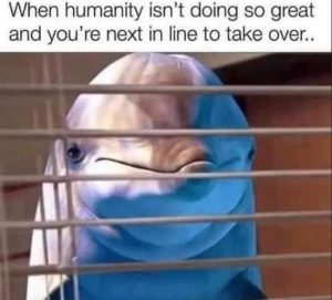 Stupid Bar Memes 770ddc5f2b524fbc