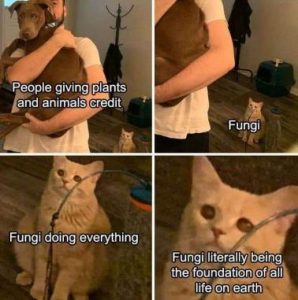 Stupid Bar Memes 78e8cff570b000c2