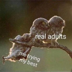 Stupid Bar Memes 7b878605149b0cd8