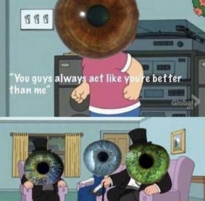 Stupid Bar Memes 7d6aefd986711348