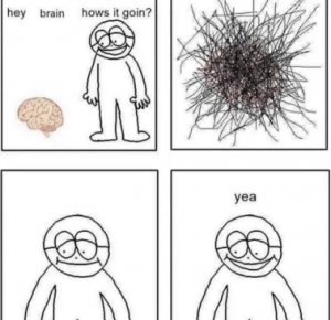 Stupid Bar Memes 7e77a86adf2f31e8