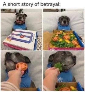 Stupid Bar Memes 86a276b7fd3868c7