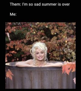 Stupid Bar Memes 87440241