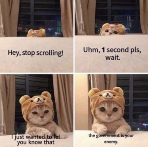 Stupid Bar Memes 88e02f91ce1c5da8