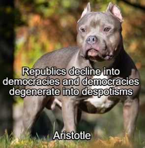 Stupid Bar Memes 8903678c33a8ef7c