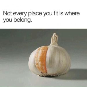 Stupid Bar Memes 8da009817a235c91