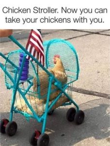 Stupid Bar Memes 8e06eb595297aa61
