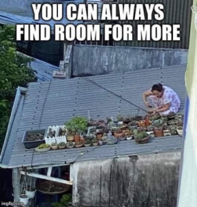 Stupid Bar Memes 90fd1ba42307d2e4