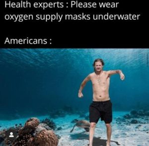 Stupid Bar Memes 9319243ff50ff61e