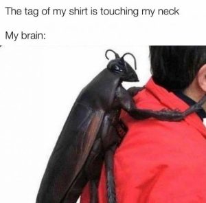 Stupid Bar Memes 9523e5bc6f3d3b90