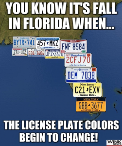 Stupid Bar Memes 990931cd22cc1dc6