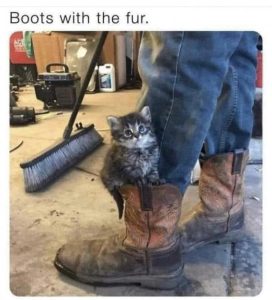 Stupid Bar Memes 9a17c7757febbf54