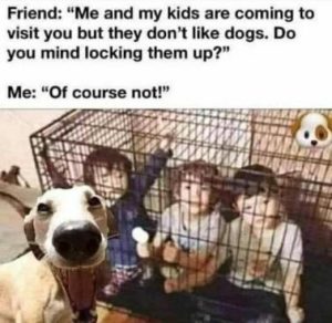 Stupid Bar Memes 9b89b52feb78bc45