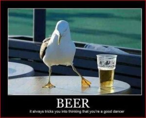 Stupid Bar Memes 9d7e49ae6c574054