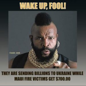 Stupid Bar Memes 9e61f33bb7431981