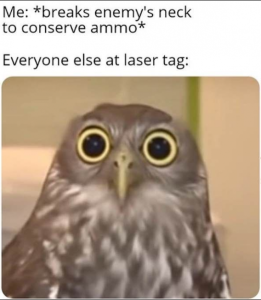 Stupid Bar Memes 9f0f1638f75fef29
