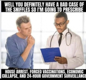 Stupid Bar Memes 9f159d10fec3c480