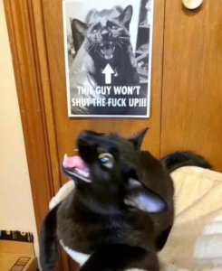 Stupid Bar Memes F4qFifnWQAEBsqN