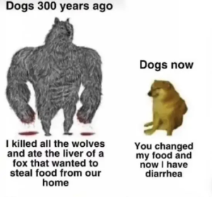 Stupid Bar Memes IMGs6374