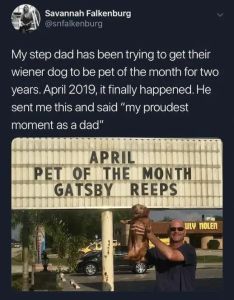 Stupid Bar Memes LRmcihV