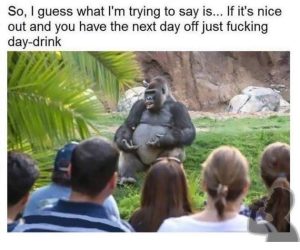 Stupid Bar Memes MjbjXPL