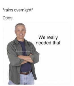 Stupid Bar Memes T5ogOWf