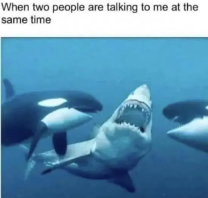 Stupid Bar Memes WARs08s27s23s1s20