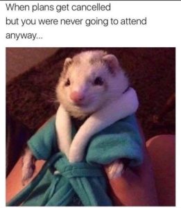 Stupid Bar Memes WHgZ5Ri