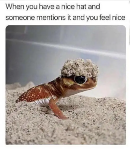Stupid Bar Memes YDgvJ4A