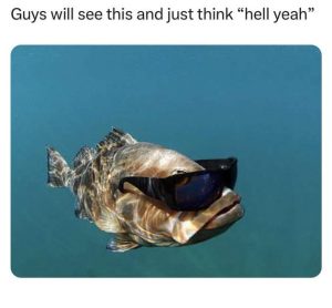 Stupid Bar Memes YY07izC