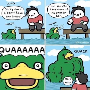Stupid Bar Memes a4omGwps700b