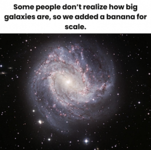 Stupid Bar Memes a53f86e23f0b123d