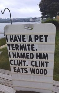 Stupid Bar Memes a66897aesf25fs4491s96dcsb01b0e23cffe