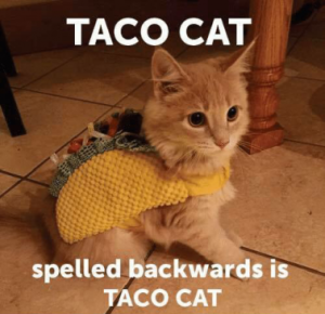 Stupid Bar Memes a78f9db99c3b541a