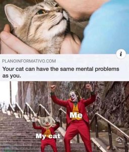 Stupid Bar Memes aL1Vjqgs700b