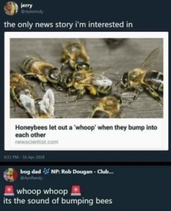 Stupid Bar Memes aa7476b50e4985e1