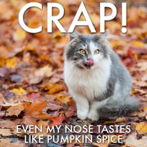 Stupid Bar Memes aab93305a3a235d3